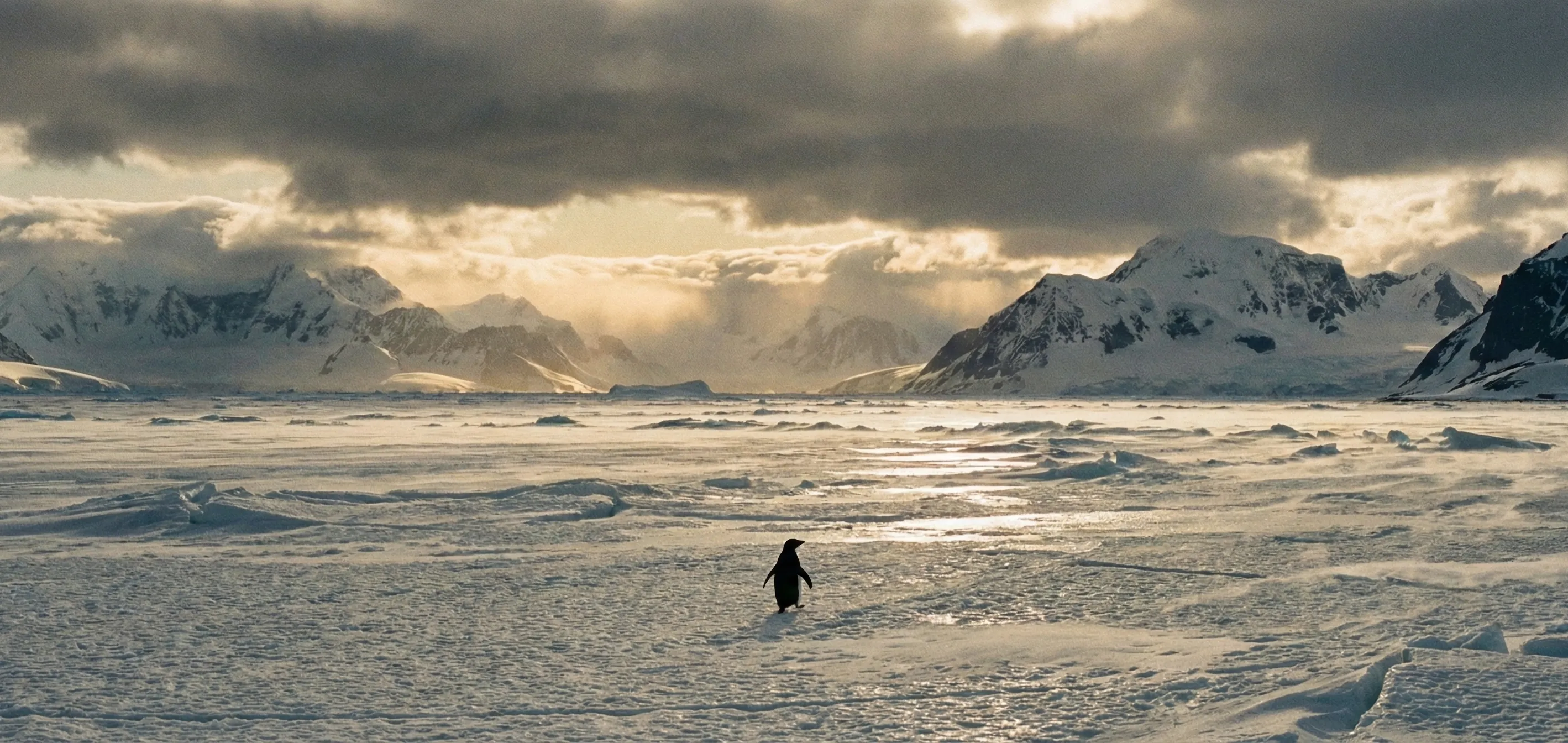 Cover Image of the Post